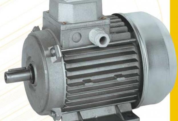 詳細介紹三相異步雙速電動機的工作原理及應用
