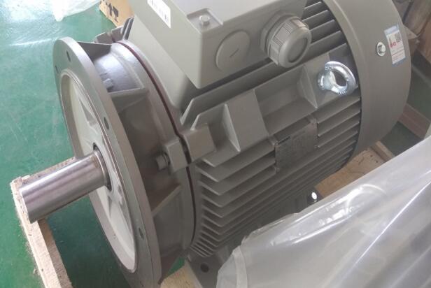 電摩電機型號有哪些，電摩電機型號詳解